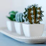 Endless Blue From Syros - Megas Gialos 1 & 2 * Mégas Yialós-Nítes